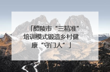 醴陵市“三精准”培训模式锻造乡村健康“守门人”