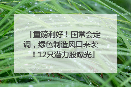 重磅利好！国常会定调，绿色制造风口来袭！12只潜力股曝光