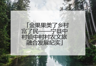 金果果美了乡村富了民——宁县中村镇中村村农文旅融合发展纪实