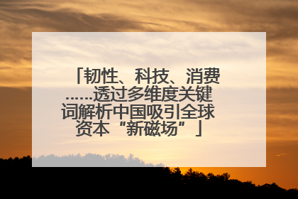 韧性、科技、消费……透过多维度关键词解析中国吸引全球资本“新磁场”
