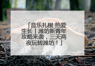 音乐扎根 热爱生长丨潍坊新青年攻略来袭，三天两夜玩转潍坊！