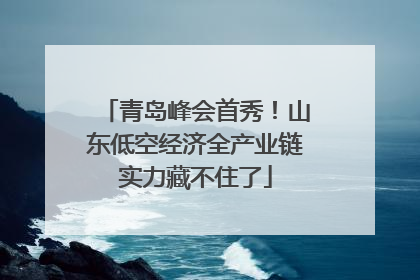 青岛峰会首秀！山东低空经济全产业链实力藏不住了