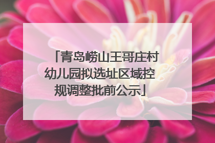 青岛崂山王哥庄村幼儿园拟选址区域控规调整批前公示