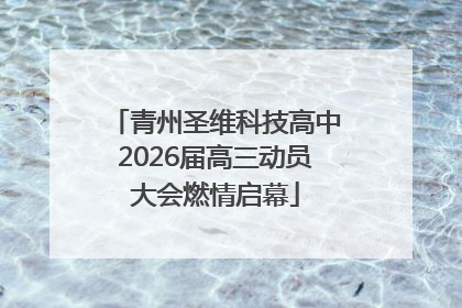 青州圣维科技高中2026届高三动员大会燃情启幕