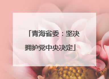 青海省委：坚决拥护党中央决定