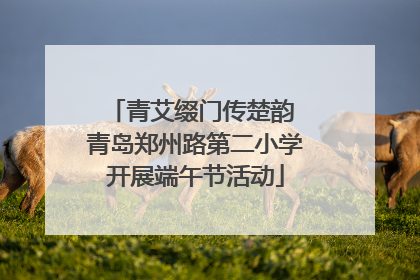 青艾缀门传楚韵 青岛郑州路第二小学开展端午节活动