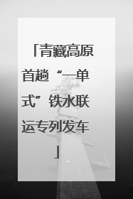 青藏高原首趟“一单式”铁水联运专列发车