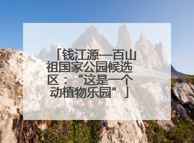 钱江源—百山祖国家公园候选区：“这是一个动植物乐园”