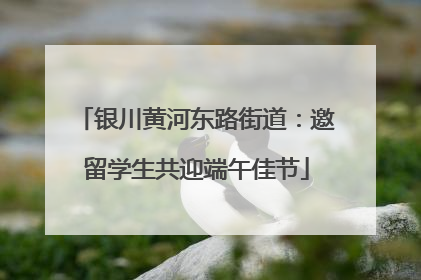 银川黄河东路街道：邀留学生共迎端午佳节