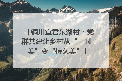 铜川宜君东湖村：党群共建让乡村从“一时美”变“持久美”