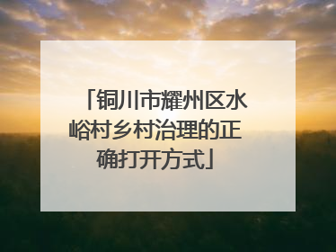 铜川市耀州区水峪村乡村治理的正确打开方式