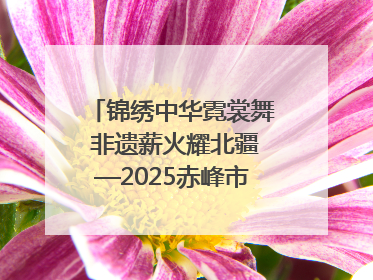 锦绣中华霓裳舞 非遗薪火耀北疆—2025赤峰市“文化和自然遗产日”非遗宣传展示活动纪实