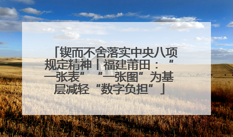 锲而不舍落实中央八项规定精神丨福建莆田：“一张表”“一张图”为基层减轻“数字负担”