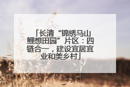 长清“锦绣马山 鲤想田园”片区：四链合一，建设宜居宜业和美乡村
