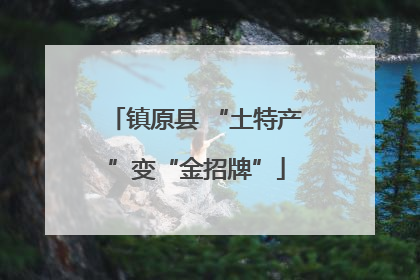 镇原县 “土特产”变“金招牌”