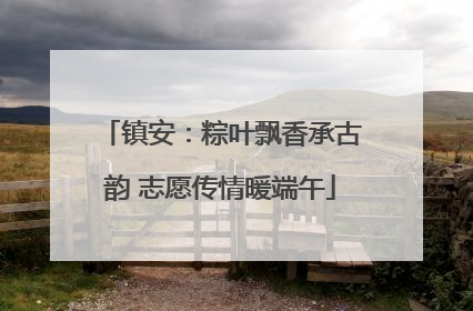 镇安：粽叶飘香承古韵 志愿传情暖端午