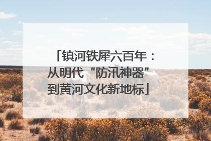 镇河铁犀六百年：从明代“防汛神器”到黄河文化新地标