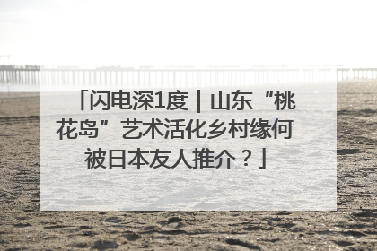 闪电深1度｜山东“桃花岛”艺术活化乡村缘何被日本友人推介？