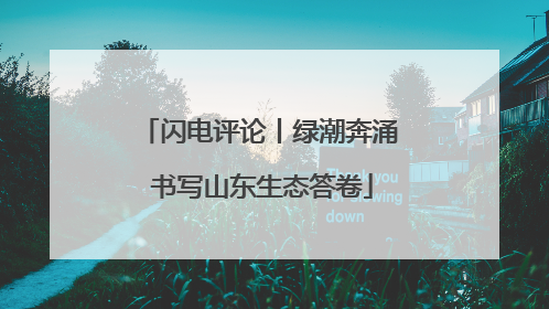 闪电评论丨绿潮奔涌 书写山东生态答卷