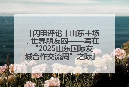 闪电评论丨山东主场，世界朋友圈——写在“2025山东国际友城合作交流周”之际