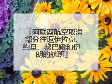 阿联酋航空取消部分往返伊拉克、约旦、黎巴嫩和伊朗的航班