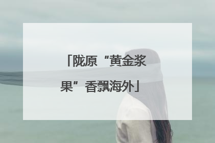 陇原“黄金浆果”香飘海外