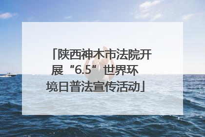 陕西神木市法院开展“6.5”世界环境日普法宣传活动