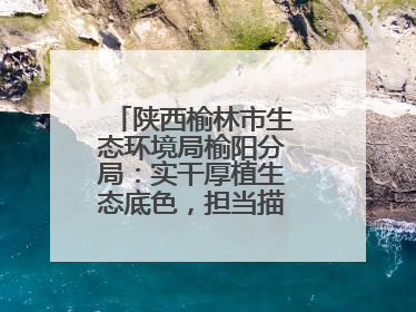 陕西榆林市生态环境局榆阳分局：实干厚植生态底色，担当描绘绿色答卷