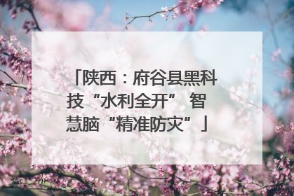 陕西：府谷县黑科技“水利全开” 智慧脑“精准防灾”