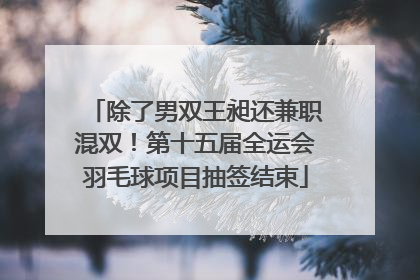 除了男双王昶还兼职混双！第十五届全运会羽毛球项目抽签结束
