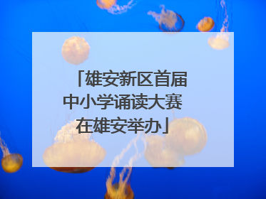 雄安新区首届中小学诵读大赛在雄安举办