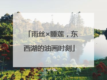 雨丝×睡莲，东西湖的油画时刻