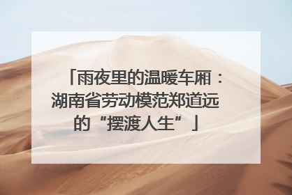 雨夜里的温暖车厢：湖南省劳动模范郑道远的“摆渡人生”