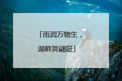 雨润万物生，湖畔舞翩跹