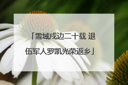 雪域戍边二十载 退伍军人罗凯光荣返乡