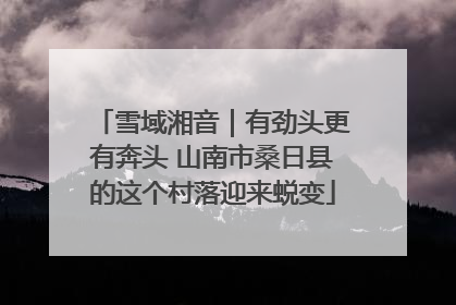 雪域湘音｜有劲头更有奔头 山南市桑日县的这个村落迎来蜕变