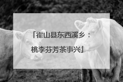 霍山县东西溪乡：桃李芬芳茶事兴
