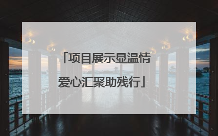 项目展示显温情 爱心汇聚助残行