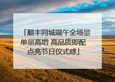 顺丰同城端午全场景单量高增 高品质即配点亮节日仪式感
