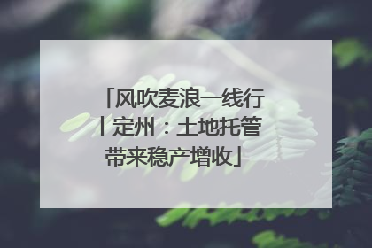 风吹麦浪一线行丨定州：土地托管带来稳产增收