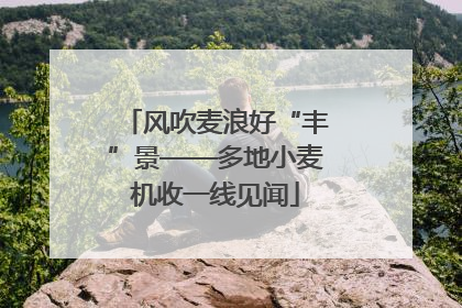 风吹麦浪好“丰”景——多地小麦机收一线见闻