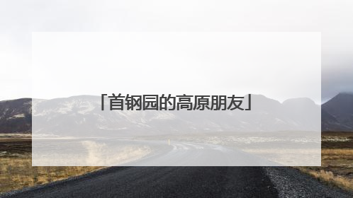 首钢园的高原朋友