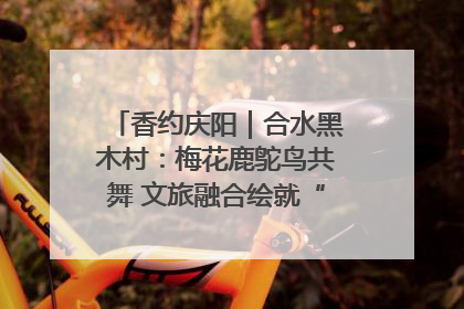 香约庆阳｜合水黑木村：梅花鹿鸵鸟共舞 文旅融合绘就“诗与远方”