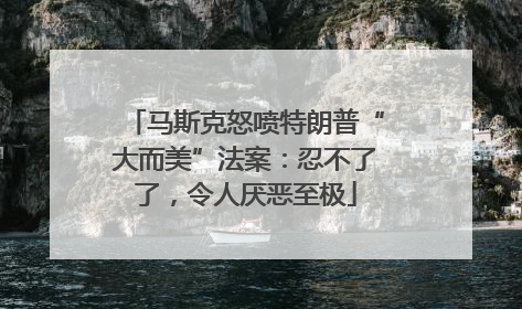 马斯克怒喷特朗普“大而美”法案：忍不了了，令人厌恶至极