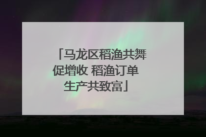 马龙区稻渔共舞促增收 稻渔订单生产共致富
