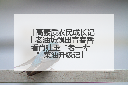 高素质农民成长记丨老油坊飘出青春香 看肖建玉“老一辈”菜油升级记