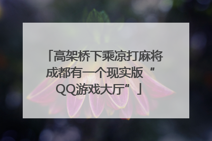 高架桥下乘凉打麻将 成都有一个现实版“QQ游戏大厅”