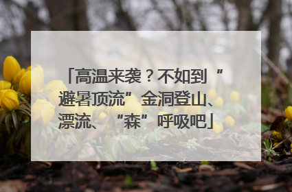 高温来袭？不如到“避暑顶流”金洞登山、漂流、“森”呼吸吧