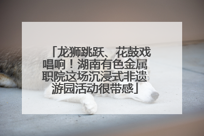 龙狮跳跃、花鼓戏唱响！湖南有色金属职院这场沉浸式非遗游园活动很带感