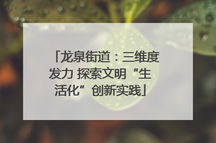 龙泉街道：三维度发力 探索文明“生活化”创新实践